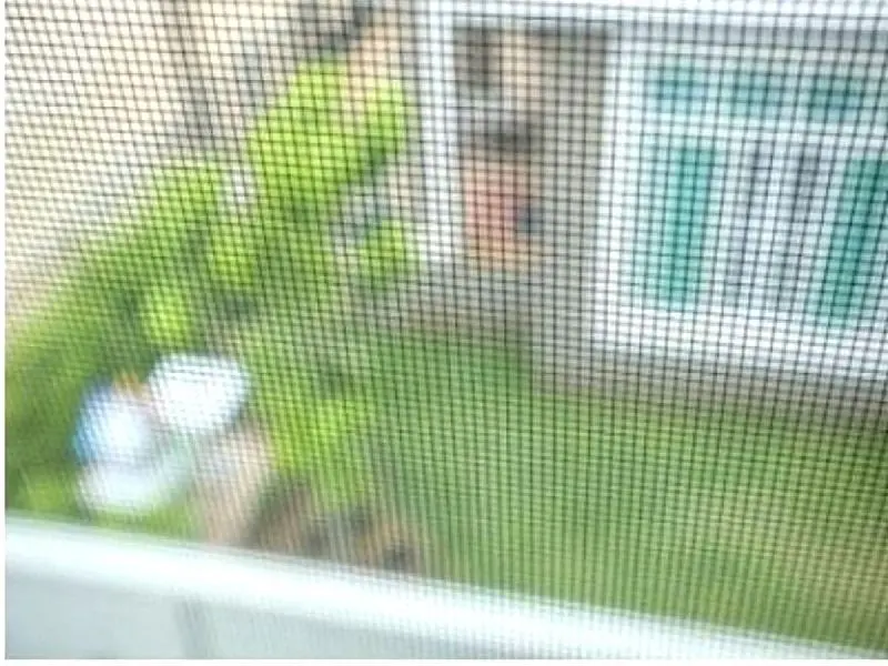 Mosquitera fija a medida en Barcelona - Cristaler&iacute;a Barcelona
